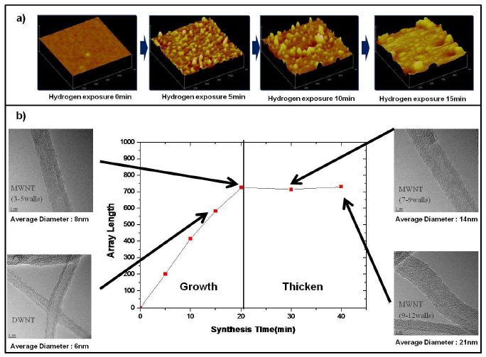 (a) Catalyst reduction에 의한 촉매 coarsening AFM 관찰 사진 (b) 탄소나노튜브 수직 성장 시간에 따른 길이, 두께 및 wall수의 변화