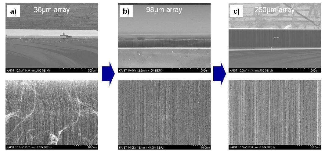 촉매에 대한 gas flow 방향에 따른 탄소나노튜브 forest의 길이 및 배열의 변화 SEM 관찰 사진