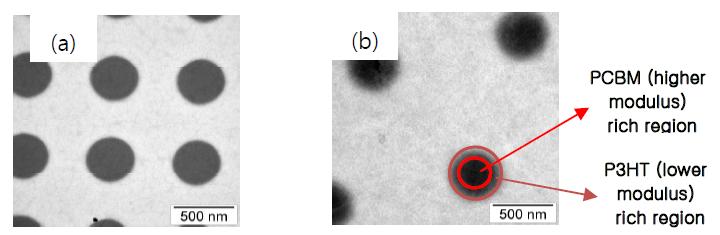 patterm prepared by (a) solvent assisted molding (b) thermal molding