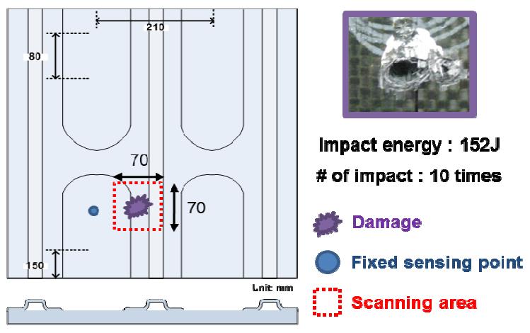 Complex composite specimen, excitaion scanning area, introduced damage