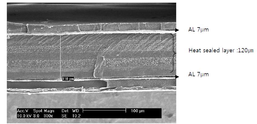 SEM images of cross-section of the heat sealed layer