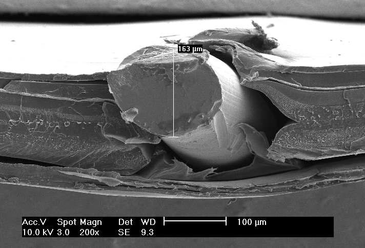 SEM images of metal wire in the heat sealed flange