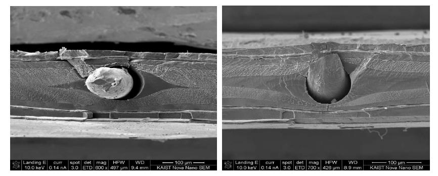 SEM images of metal wire in the heat sealed flange (cryogenic breaking technique)