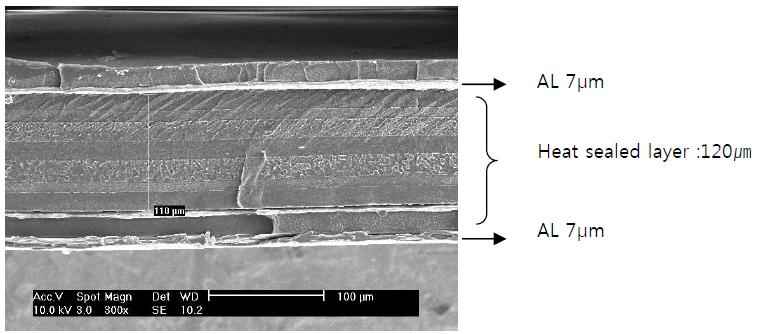 열융착층 단면의 SEM 사진