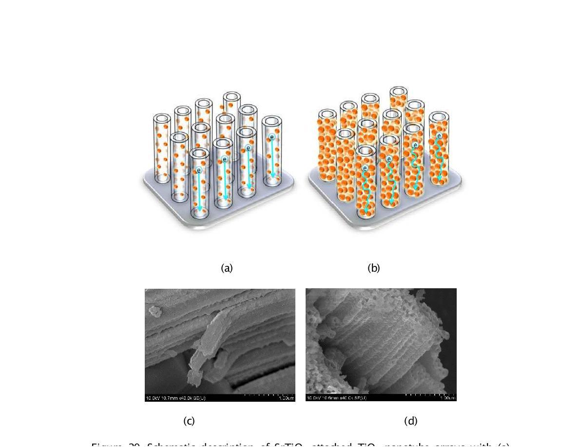 Schematic description of SrTiO3 attached TiO2 nanotube arrays with (a) proper state and (b) abundant state. SEM images of hydrothermally created of SrTiO3 nanocrystals on TiO2 nanotube surface with (c) 3 hours and (d) 10 hours treatment.