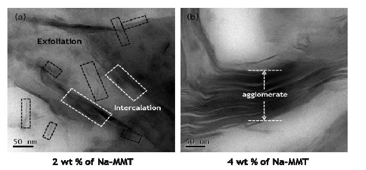 TEM photographs of clay/Me4NOH·5H2O nanocomposite with (a) 2wt% Na-MMT and (b) 4wt% Na-MMT (scale bar=50nm)