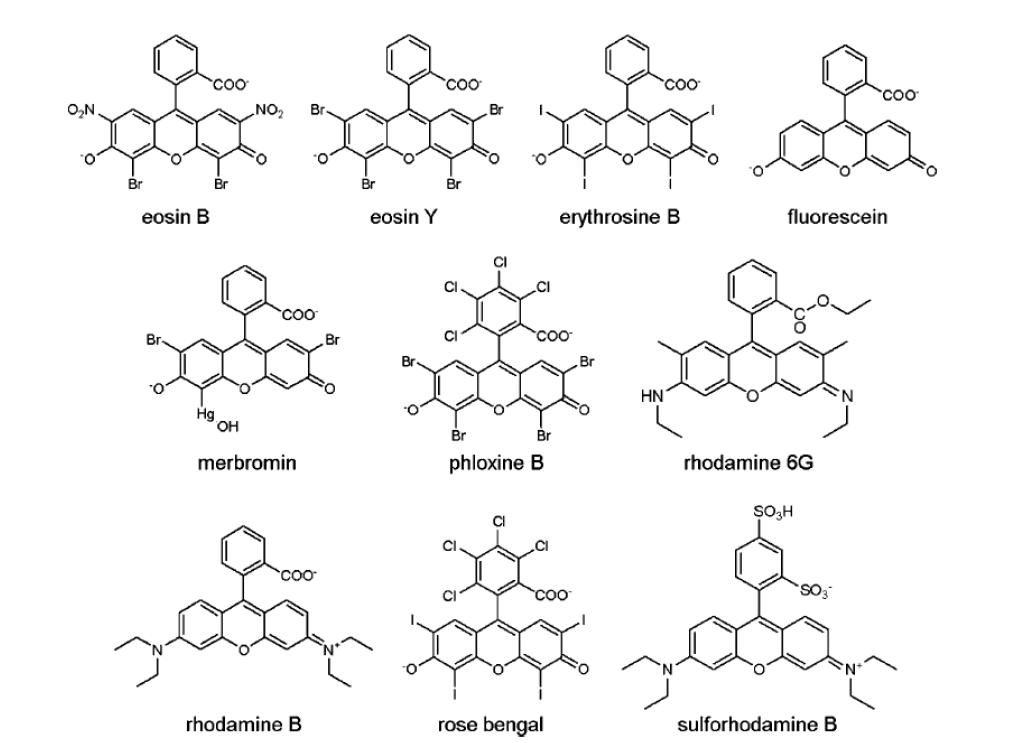 Molecular structures of xanthenes dyes studied in this work.