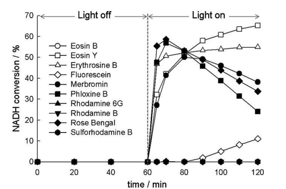NADH regeneration from NAD+ (1 mM) by the photosensitization of xanthenes (5 M). After incubation under a dark stage for 1 hour, visible-light ( > 420 nm) was irradiated to the reactor.