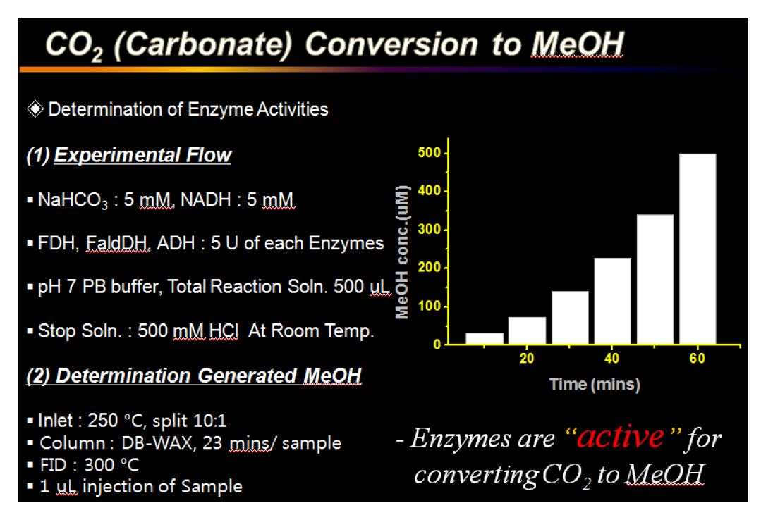 Experimental result of three enzymes be able to convert carbon dioxide to methanol.