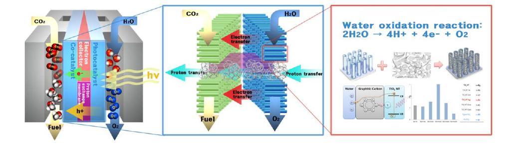 Schematic diagram for integrated system of the Natural Solar Energy-to-Fuel generator and water oxidation component