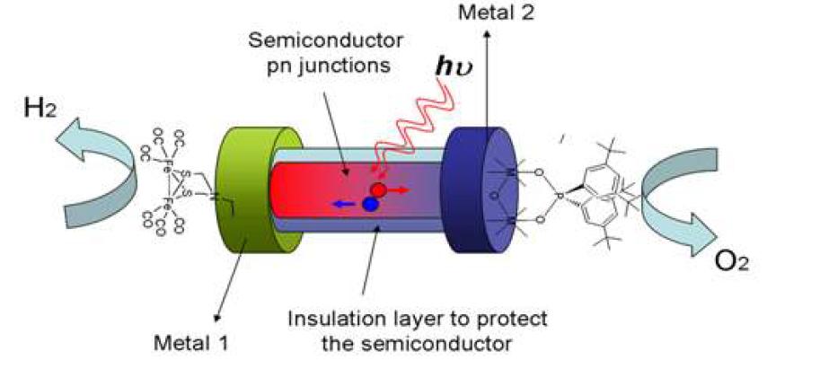 Schematic diagram for photocatalytic energy generation reaction by metal-semiconductor hybrid structure