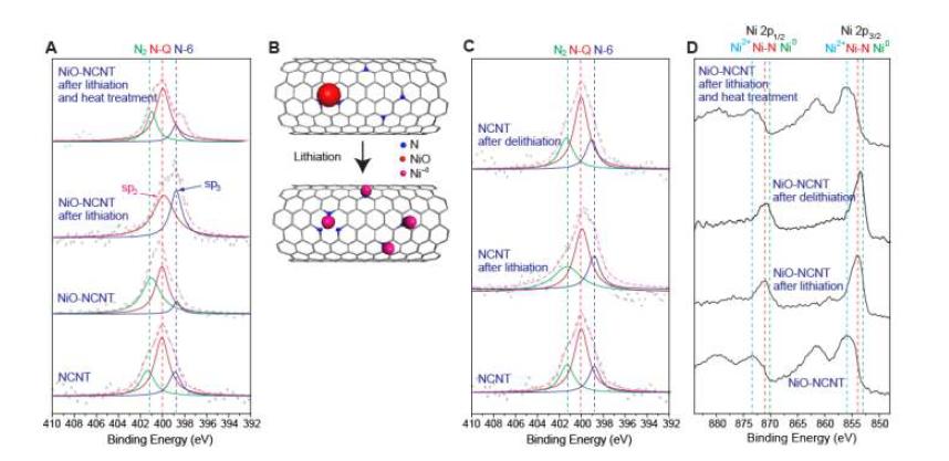XPS characterization of the NiO3nm-NCNT and NCNT. (A) N 1s data for the NiO3nm-NCNT taken at different stages of electrochemical and other processes. (B) A graphical illustration of Ni diffusion between N-doped sites during lithiation. (C) N 1s data for NCNT taken at the same stages. (D) Ni 2p data for the NiO3nm-NCNT taken at different stages of electrochemical and other processes. The Ni0 position was calibrated by Ni foil.