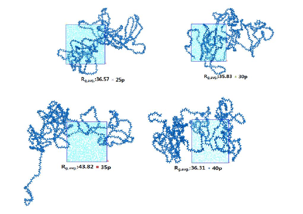 Final structure of PEG20kDa for various concentrations (after CED process)