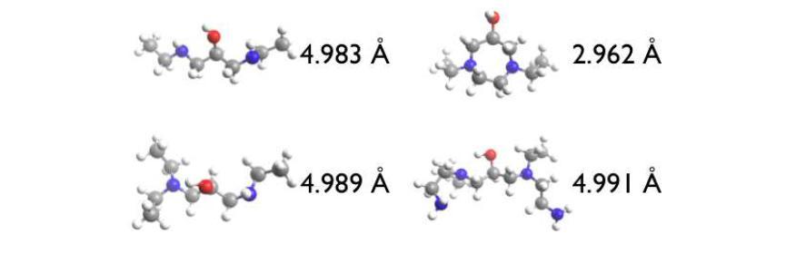 Optimized distances from QM calculations for possible types of cross-links (1°-1°, 1°-2°, and 2°-2° amines)