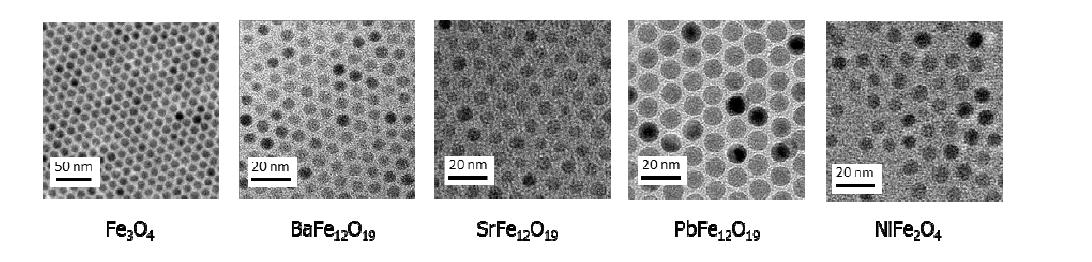 Nanomaterials recently produced (last three are unpublished).