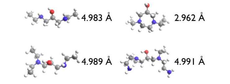 Optimized distances from QM calculations for possible types of crosslinks (1°-1°, 1°-2°, and 2°-2° amines)