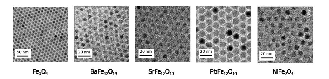 최근 합성된 나노 페라이트 물질(마지막 3가지 물질은 미발표됨).
