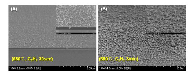 SEM images of vertically grown CNTs on the graphene at 650°C for (A) 30sec, (B) 3min. by PECVD method.