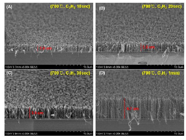 SEM images of vertically grown CNTs on the graphene at 700°C for (A) 10sec, (B) 20sec, (C) 30sec, (D) 60sec by PECVD method.