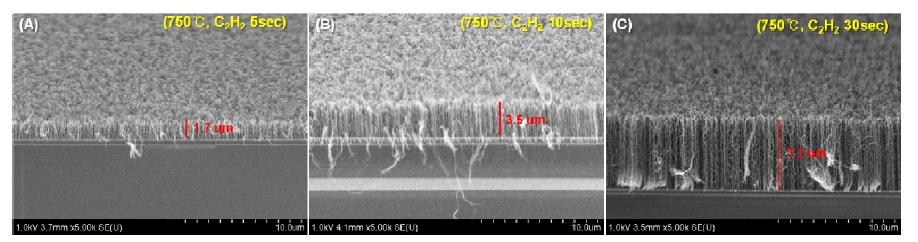 SEM images of vertically grown CNTs on the graphene at 700°C for (A) 5sec, (B) 10sec, (C) 30sec by PECVD method.