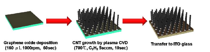 그래핀과 탄소나노튜브로 구성된 3차원 탄소나노구조체 제조과정 모식도.