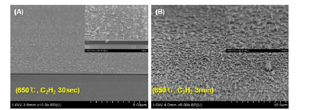 PECVD 650°C 조건에서 (A) 30초, (B) 3분 성장한 탄소나노튜브의 SEM 이미지