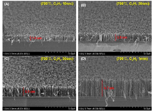 PECVD 700°C 조건에서 (A) 10초, (B) 20초 (C) 30초 (D) 1분 성장한 탄소나노튜브의 SEM 이미지