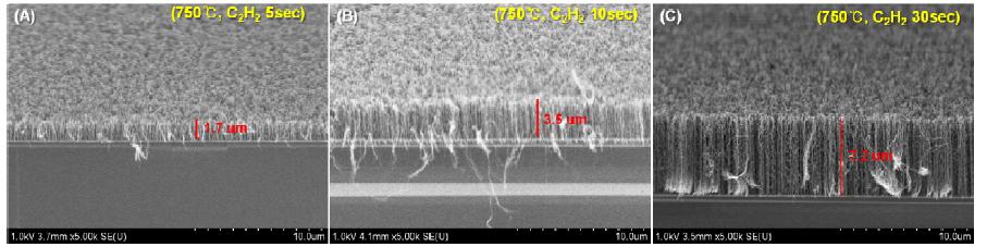 PECVD 750°C 조건에서 (A) 5초, (B) 10초 (C) 30초 성장한 탄소나노튜브의 SEM 이미지
