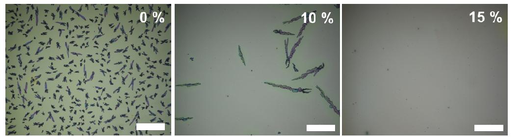 150 °C에서 24시간 annealing한 후의 P3HT/ PCBM (0, 10 or 15% P3HT-azide10) optical microscopy images