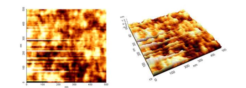 p(CHMA) 증착 후의 AFM 사진