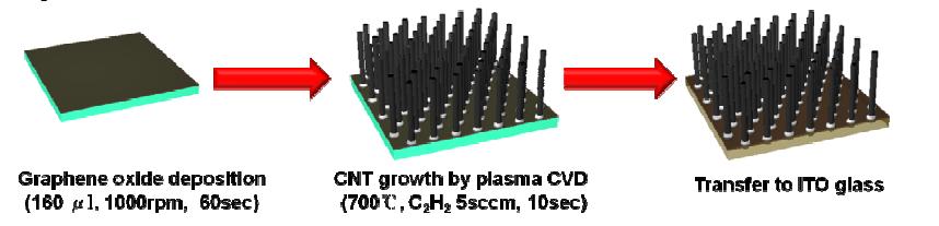 The fabrication process of three-dimensional carbon nanostructures with graphene and CNTs.