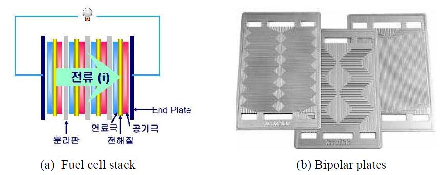 multi-cell fuel cell stack and bipolar plates for high voltage.