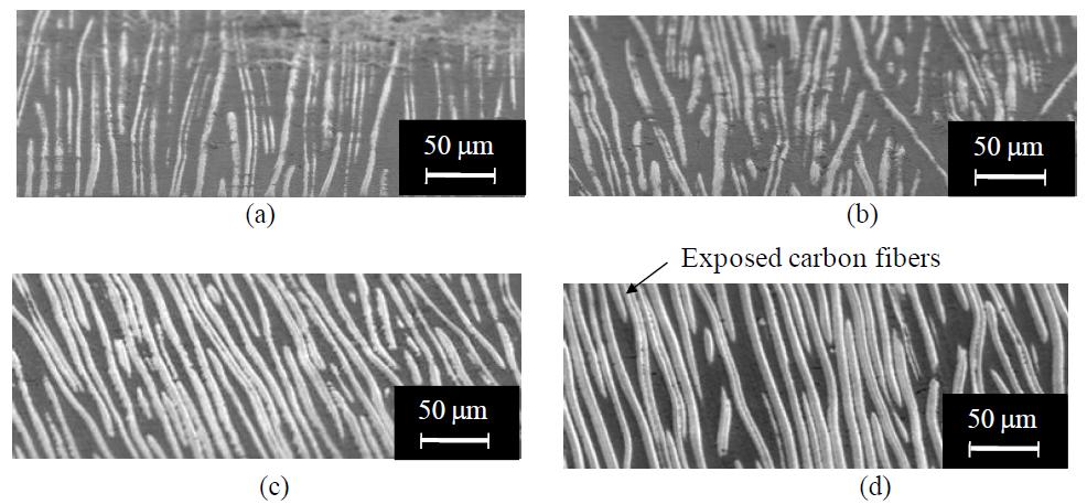 SEM images of the carbon/epoxy composite bipolar plate surfaces: (a) vacuum bag molding method at 0.7 MPa; (b) compression molding method at 14 MPa without treatment; (c) compression molding method at 14 MPa with 120 W plasma treatment for 10 minutes; (d) compression molding method at 14 MPa with 150 W plasma treatment for 5 minutes.