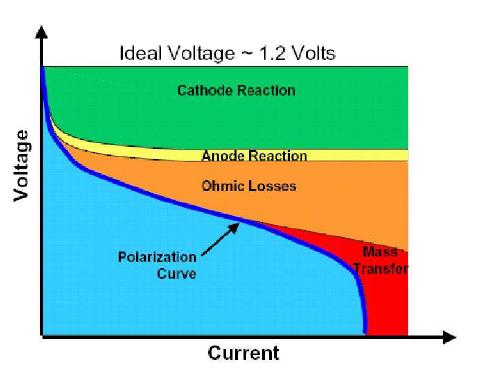 Voltage losses in fuel cell and polarization curve.
