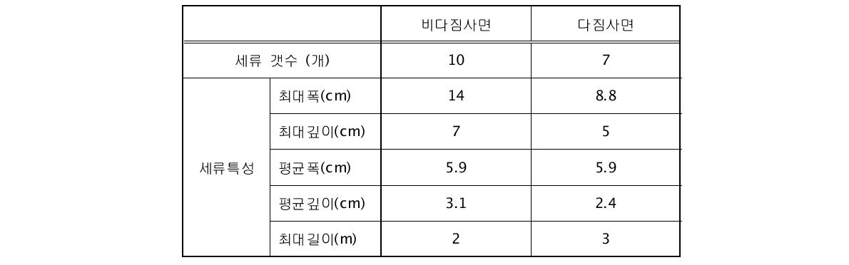 비다짐 및 다짐사면의 세류발달 (경사 20°)