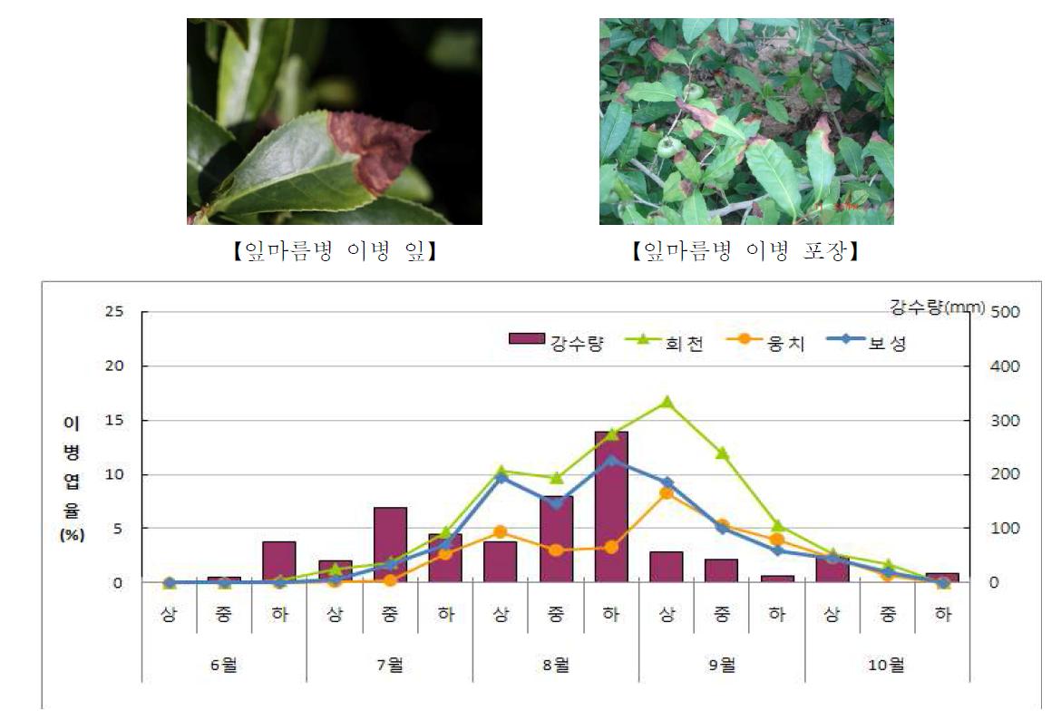 지역별 잎마름병 발생소장