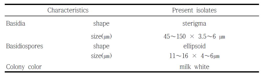 떡병에서 분리된 Exobasidium의 균학적 특징