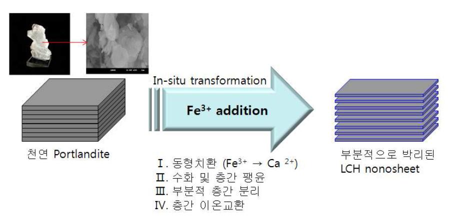 Portlandite의 부분적인 박리에 의한 LCH 변환 모식도