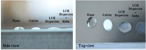 다양한 원료로부터 유래한 희석액의 slide glass 표면 부착성