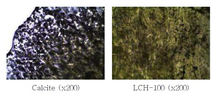 Calcite와 LCH-100 처리된 고추 표면의 코팅형태