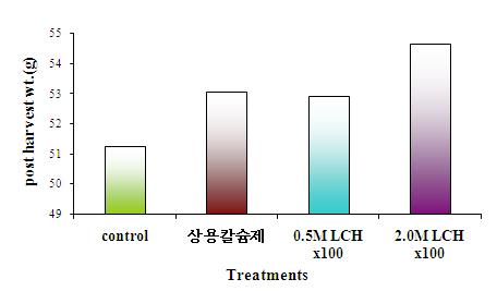 LCH와 상용 칼슘제 처리에서 수확한 토마토의 생체 중량