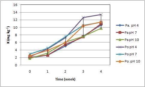 pH에 따른 일라이트 입제와 분제의 K 용출량(입제 : Pa, 분제 : Po)