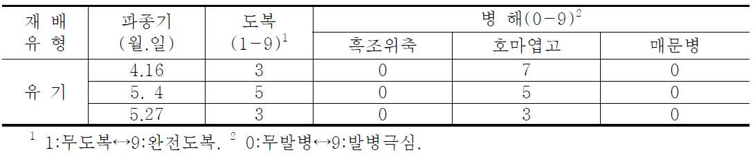 찰옥수수「미흑찰」파종기별 도복 및 병 발생정도(’08~’09)