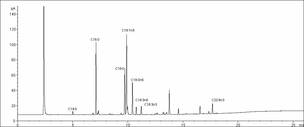 지방산 분석 가스크로마토그램.