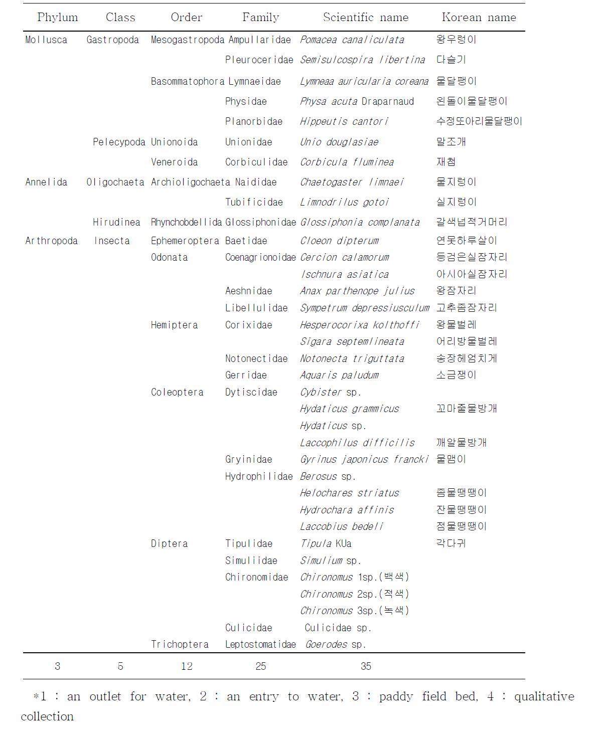 List of benthic macroinvertebrate species identified in study sites