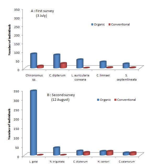 Individuals of the five major species in conventional and organic paddy field.