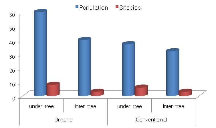 Number of soil organism species and population of under and inter pear tree in pitfall trap