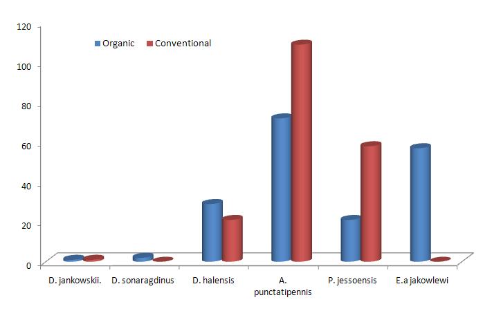 Number of coleopteran population in pitfall trap of pear orchards