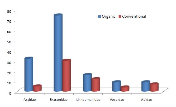 Number of hymenopteran population in malaise trap of pear orchards