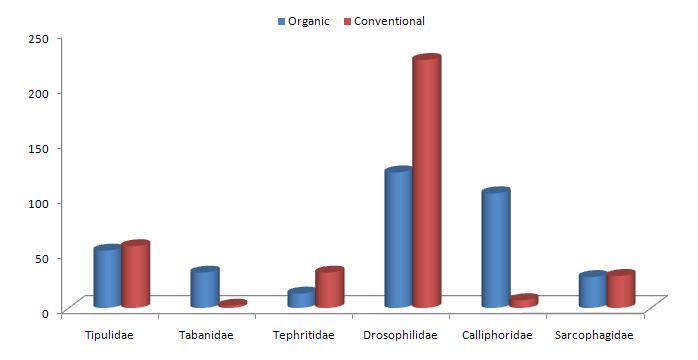 Number of dipteran population in malaise trap of pear orchards